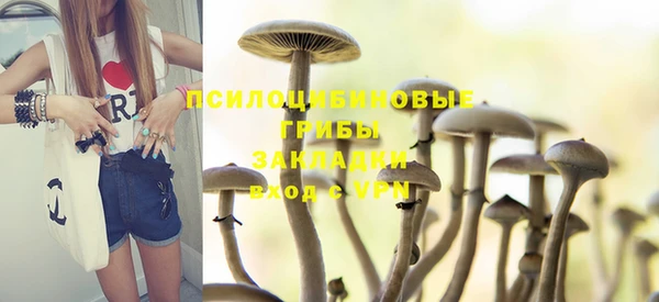 стафф Балабаново